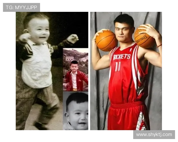 禅师寄语姚明：在篮球与人生的交汇中寻找内心的宁静与智慧